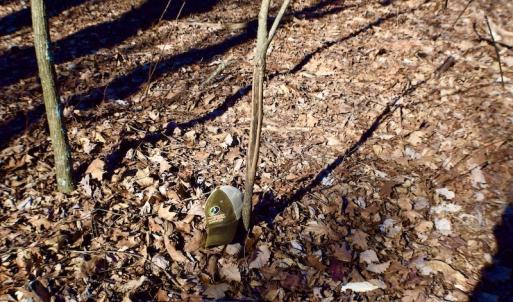 Photo #45 of Off Adventure Mountain Trail , Montvale, VA 216.9 acres