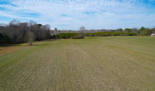 Photo #12 of SOLD property in Off Rolfe Hwy, Surry, VA 33.7 acres