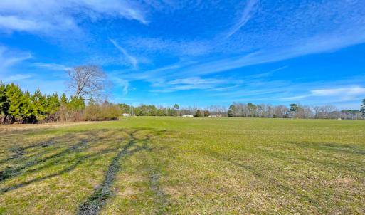 Photo #13 of SOLD property in Off Rolfe Hwy, Surry, VA 33.7 acres