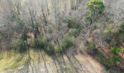 Photo #14 of Off Rolfe Hwy, Surry, VA 33.7 acres