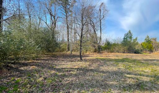 Photo #15 of Off Rolfe Hwy, Surry, VA 33.7 acres