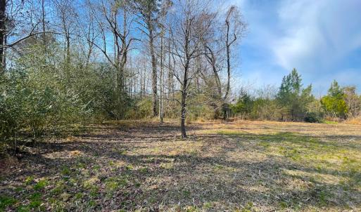 Photo #15 of SOLD property in Off Rolfe Hwy, Surry, VA 33.7 acres