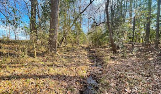 Photo #16 of SOLD property in Off Rolfe Hwy, Surry, VA 33.7 acres