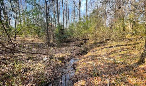 Photo #17 of SOLD property in Off Rolfe Hwy, Surry, VA 33.7 acres