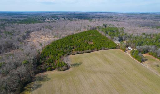 Photo #18 of SOLD property in Off Rolfe Hwy, Surry, VA 33.7 acres