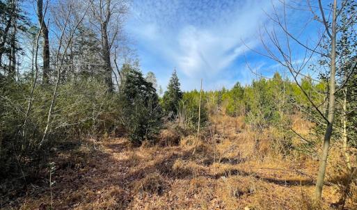 Photo #19 of SOLD property in Off Rolfe Hwy, Surry, VA 33.7 acres