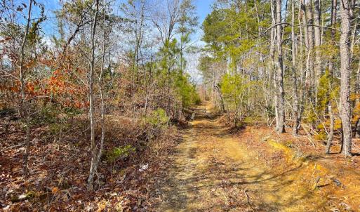 Photo #21 of SOLD property in Off Rolfe Hwy, Surry, VA 33.7 acres