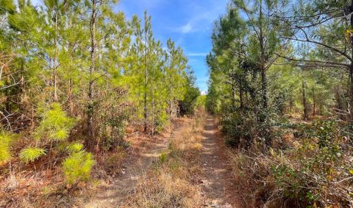 Photo #22 of Off Rolfe Hwy, Surry, VA 33.7 acres