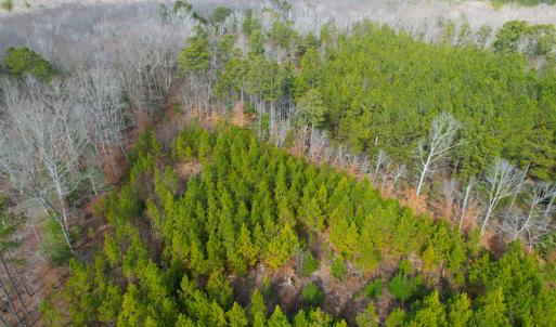 Photo #26 of Off Rolfe Hwy, Surry, VA 33.7 acres