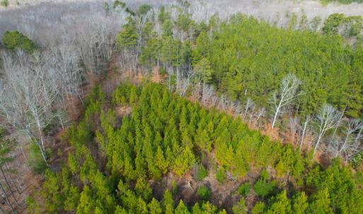 Photo #26 of SOLD property in Off Rolfe Hwy, Surry, VA 33.7 acres