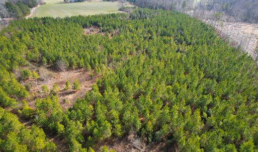 Photo #27 of Off Rolfe Hwy, Surry, VA 33.7 acres