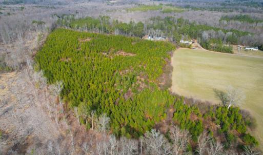 Photo #6 of SOLD property in Off Rolfe Hwy, Surry, VA 33.7 acres