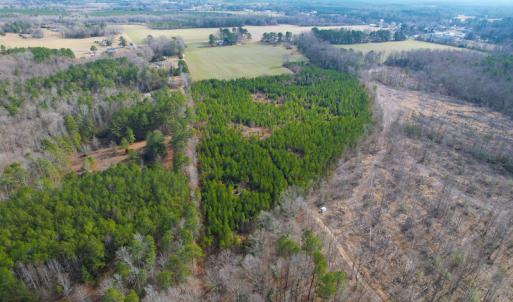 Photo #7 of SOLD property in Off Rolfe Hwy, Surry, VA 33.7 acres