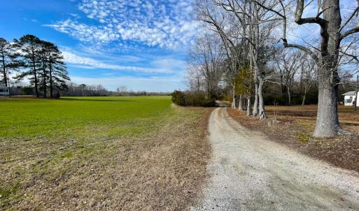 Photo #9 of SOLD property in Off Rolfe Hwy, Surry, VA 33.7 acres