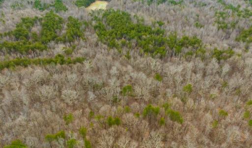 Photo #2 of SOLD property in Off Bowmantown Rd, Roxboro, NC 42.8 acres