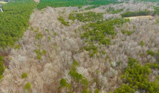 Photo #10 of SOLD property in Off Bowmantown Rd, Roxboro, NC 42.8 acres