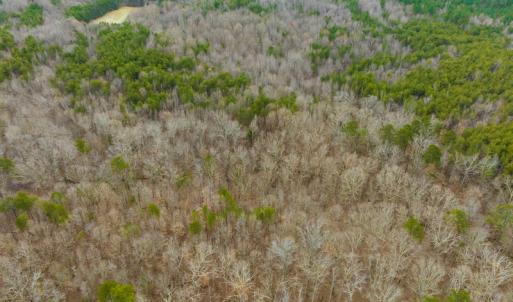 Photo #14 of SOLD property in Off Bowmantown Rd, Roxboro, NC 42.8 acres
