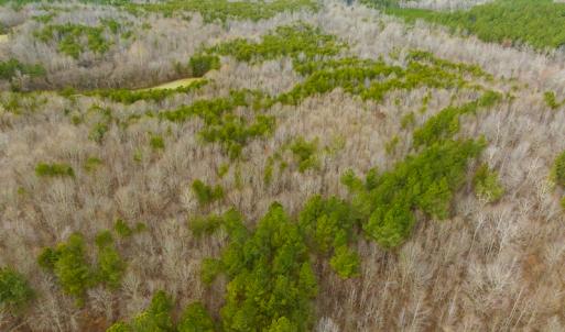 Photo #16 of SOLD property in Off Bowmantown Rd, Roxboro, NC 42.8 acres