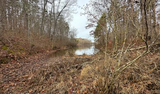 Photo #18 of SOLD property in Off Bowmantown Rd, Roxboro, NC 42.8 acres