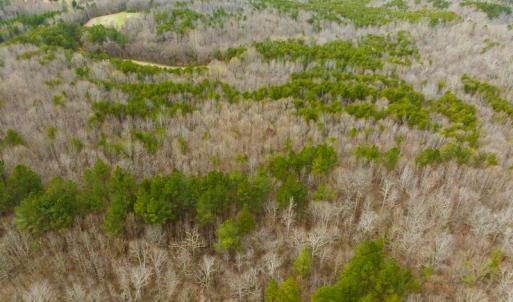 Photo #19 of SOLD property in Off Bowmantown Rd, Roxboro, NC 42.8 acres