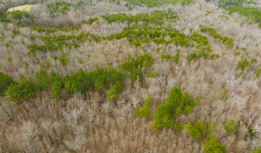Photo #22 of SOLD property in Off Bowmantown Rd, Roxboro, NC 42.8 acres