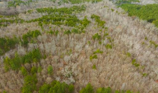 Photo #25 of SOLD property in Off Bowmantown Rd, Roxboro, NC 42.8 acres