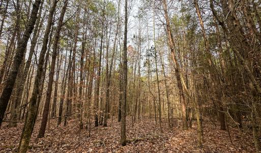 Photo #30 of SOLD property in Off Bowmantown Rd, Roxboro, NC 42.8 acres