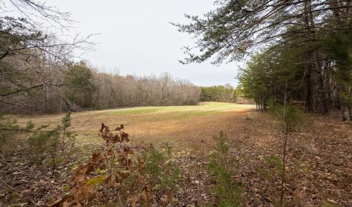Photo #33 of SOLD property in Off Bowmantown Rd, Roxboro, NC 42.8 acres