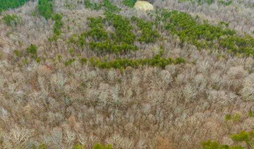 Photo #34 of SOLD property in Off Bowmantown Rd, Roxboro, NC 42.8 acres