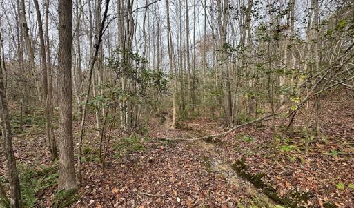 Photo #36 of SOLD property in Off Bowmantown Rd, Roxboro, NC 42.8 acres