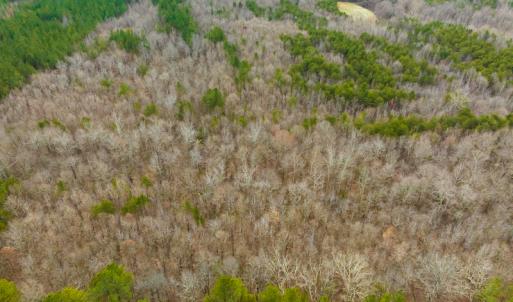 Photo #37 of SOLD property in Off Bowmantown Rd, Roxboro, NC 42.8 acres