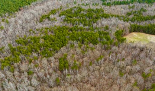 Photo #38 of SOLD property in Off Bowmantown Rd, Roxboro, NC 42.8 acres