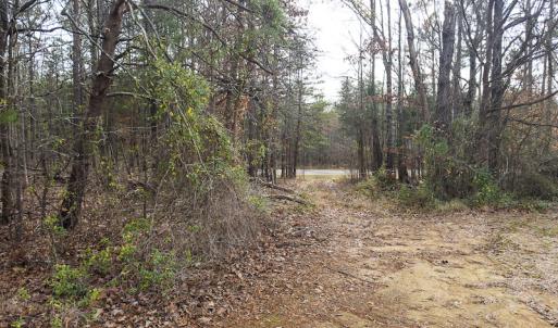Photo #39 of SOLD property in Off Bowmantown Rd, Roxboro, NC 42.8 acres
