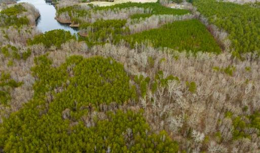 Photo #40 of SOLD property in Off Bowmantown Rd, Roxboro, NC 42.8 acres