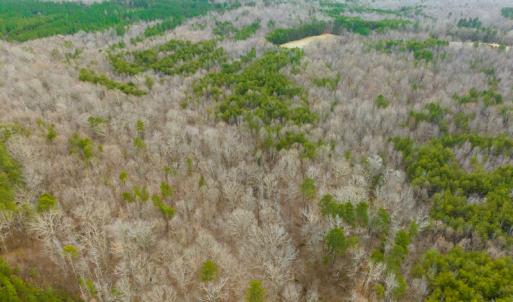 Photo #41 of SOLD property in Off Bowmantown Rd, Roxboro, NC 42.8 acres