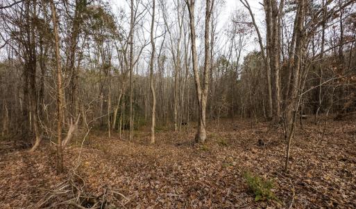 Photo #42 of SOLD property in Off Bowmantown Rd, Roxboro, NC 42.8 acres