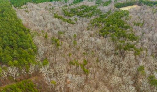 Photo #43 of SOLD property in Off Bowmantown Rd, Roxboro, NC 42.8 acres
