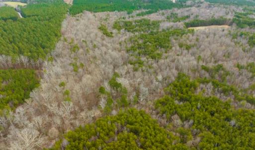 Photo #46 of SOLD property in Off Bowmantown Rd, Roxboro, NC 42.8 acres