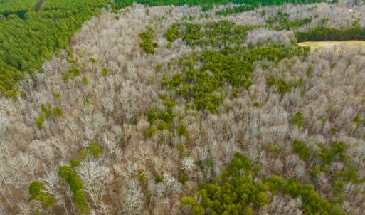 Photo #49 of SOLD property in Off Bowmantown Rd, Roxboro, NC 42.8 acres