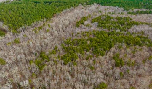 Photo #51 of SOLD property in Off Bowmantown Rd, Roxboro, NC 42.8 acres