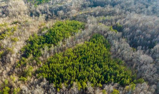 Photo #2 of SOLD property in Off Wilson Rd, Providence, NC 91.3 acres