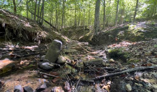 Photo #3 of SOLD property in Off Wilson Rd, Providence, NC 91.3 acres