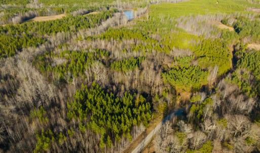 Photo #4 of SOLD property in Off Wilson Rd, Providence, NC 91.3 acres