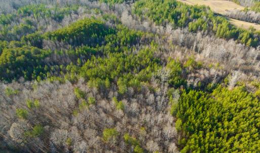 Photo #17 of SOLD property in Off Wilson Rd, Providence, NC 91.3 acres