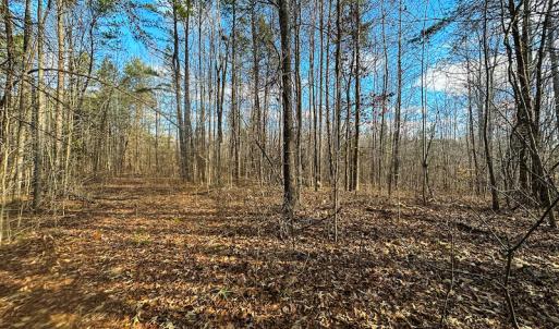 Photo #19 of SOLD property in Off Wilson Rd, Providence, NC 91.3 acres