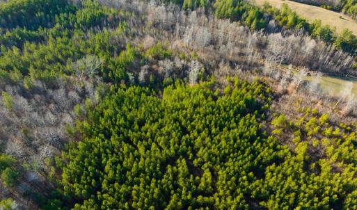 Photo #21 of SOLD property in Off Wilson Rd, Providence, NC 91.3 acres