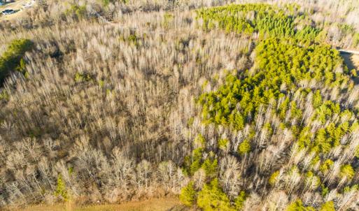Photo #22 of SOLD property in Off Wilson Rd, Providence, NC 91.3 acres