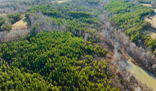 Photo #23 of SOLD property in Off Wilson Rd, Providence, NC 91.3 acres