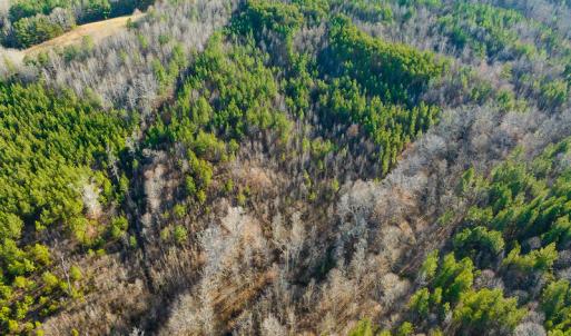 Photo #25 of SOLD property in Off Wilson Rd, Providence, NC 91.3 acres