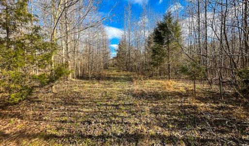 Photo #27 of SOLD property in Off Wilson Rd, Providence, NC 91.3 acres